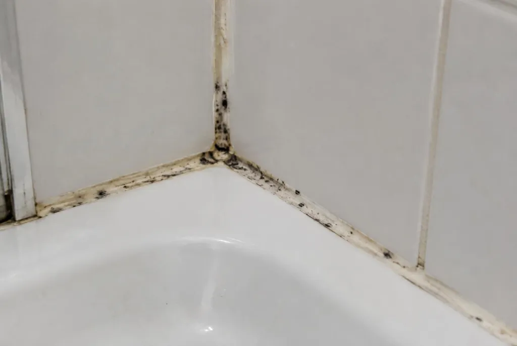 Kitbedrijf Oss – beschimmelde kitranden